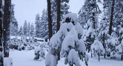 Family Ski Cabin-20mins from Dodge Ridge Resort