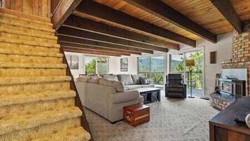Smart TV, fireplace, video games, books