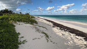 A beach with white sand, green vegetation, and a clear blue sky. - On the beach, Private path to the ocean beach. (Cat Island)