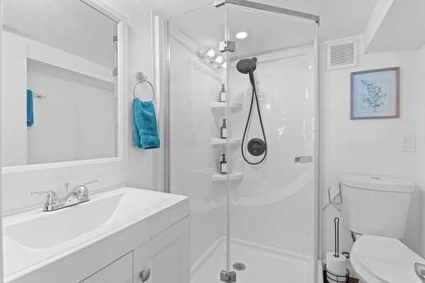 Hair dryer, towels, soap, shampoo