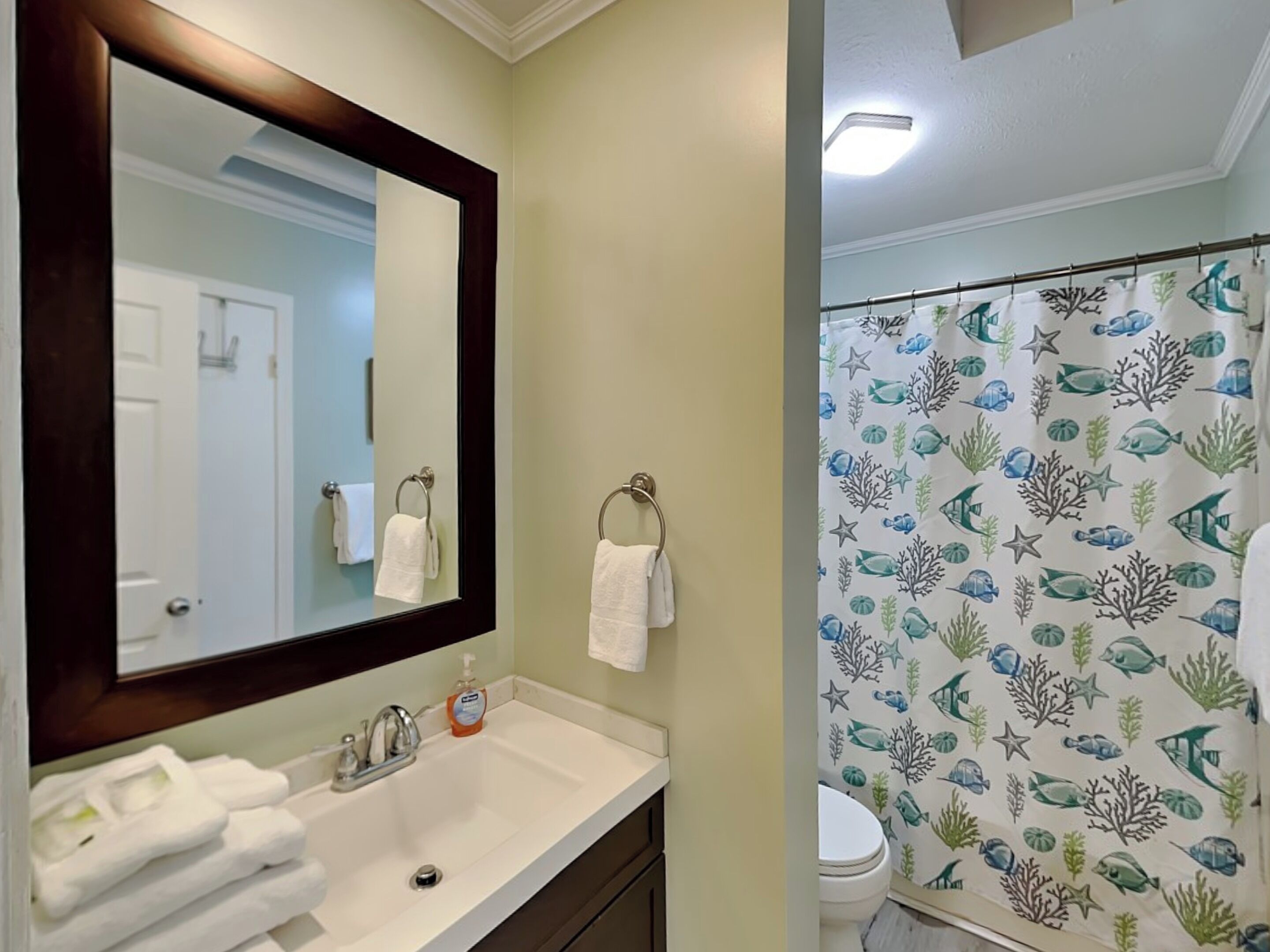 A bathroom with a white sink, a mirror, and a shower curtain with a fish and coral pattern.