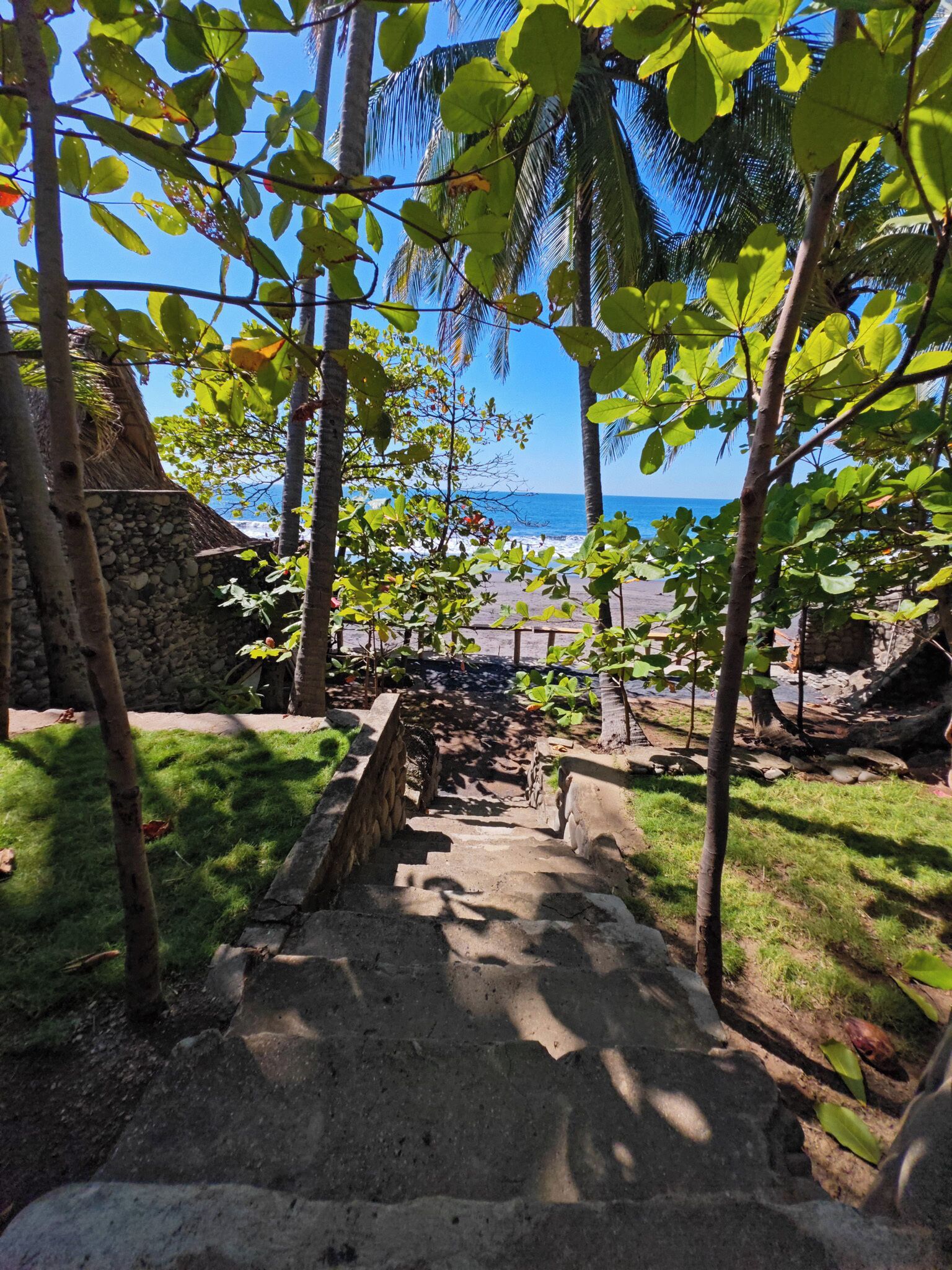 A stone staircase leading to a beach with palm trees and a clear view of the ocean.
