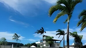 Una piscina con sillas de descanso, palmeras y edificios modernos al fondo.