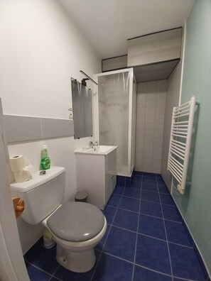 Towels, toilet paper - Downtown apartment DOUARNENEZ (Douarnenez)