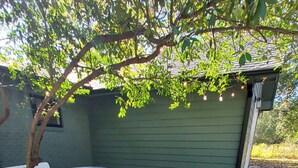 Een hottub met treden, omringd door mulch en een boom.