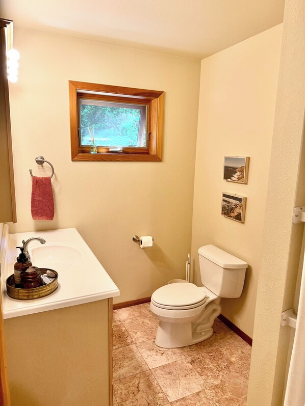 A bathroom with a toilet, sink, and window.