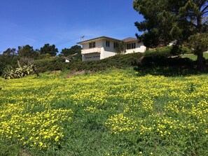 Unclassified image, 2 of 6, button - Private Guest Suite with Kitchen, Private Bath & Separate Entrance (Carmel-by-the-Sea)