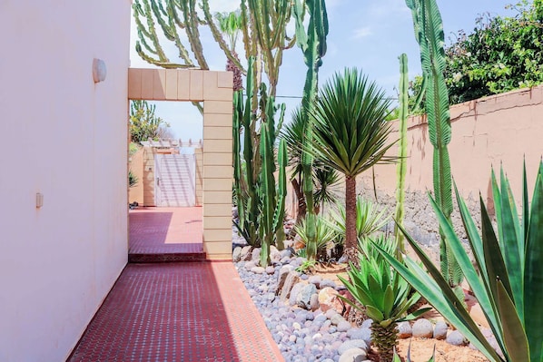 Un étroit sentier menant à l’entrée d’un bâtiment, bordé de cactus et de rochers.