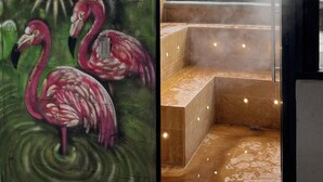 A steam room with a mural of flamingos and a view of buildings outside. - Helena Building 1BR ✔️ Breakfast + Jacuzzi + WiFi (Medellín)