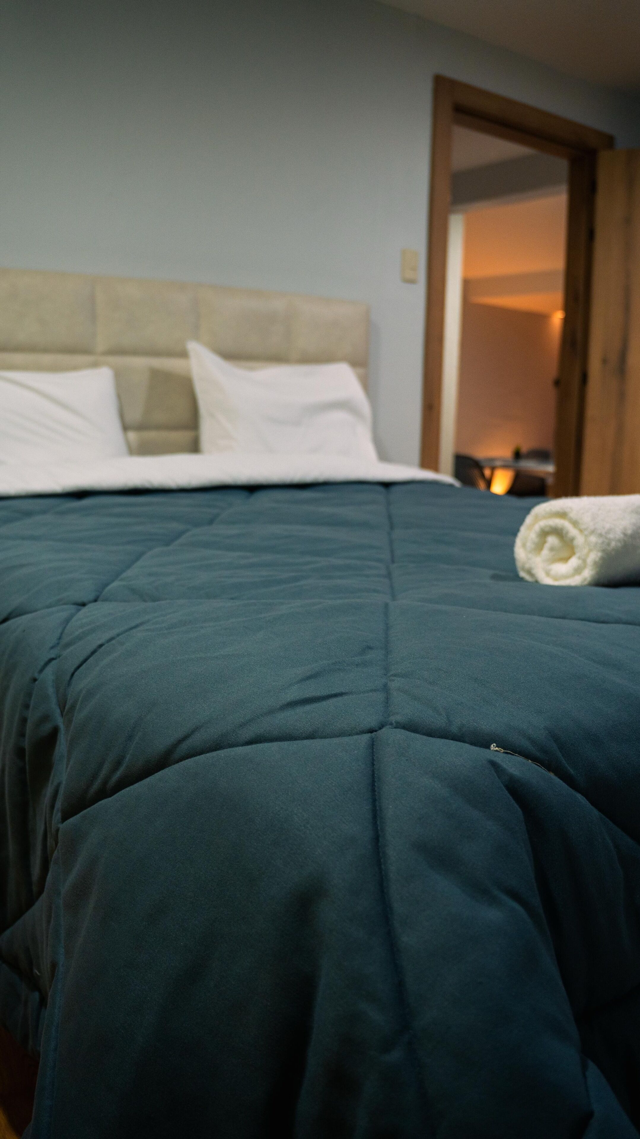 2 chambres, fer et planche à repasser, Wi-Fi, draps fournis