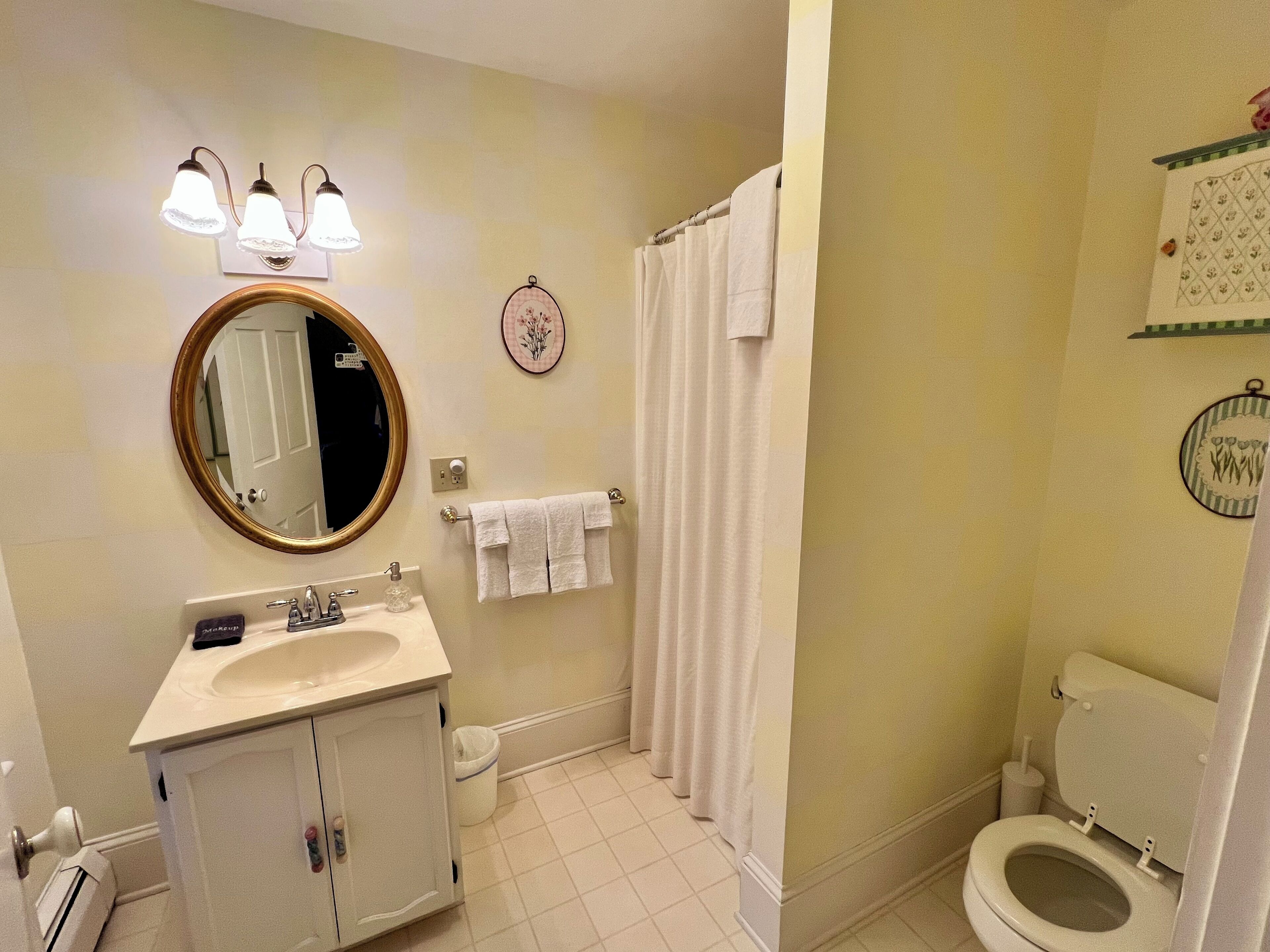A bathroom with a sink, mirror, towel rack, shower curtain, and toilet.