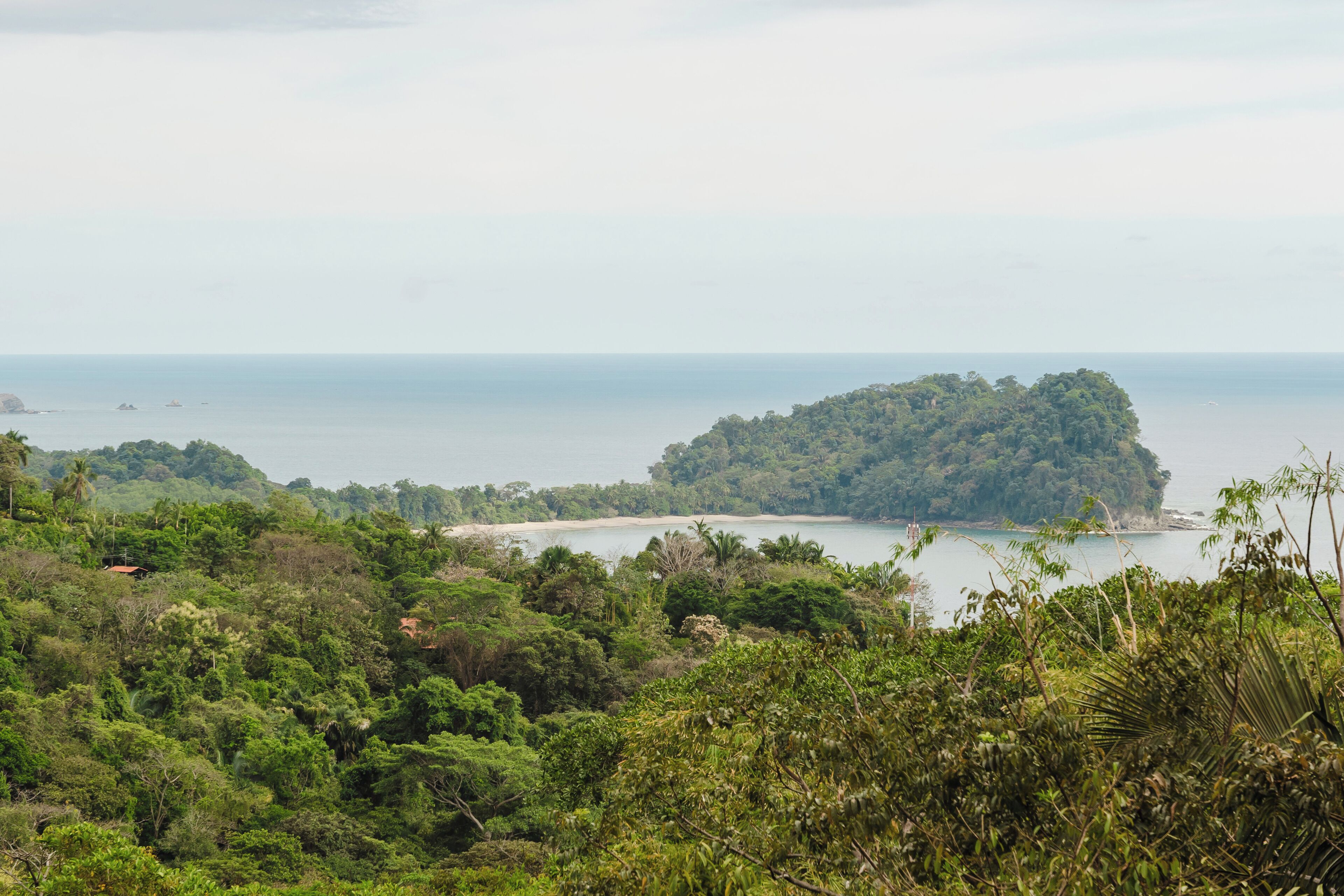 A coastal landscape with dense greenery, a sandy beach, and a small island in the distance.