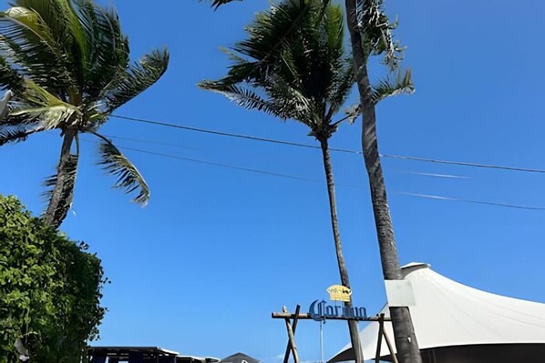 Botón de imagen sin clasificar, 1 de 11