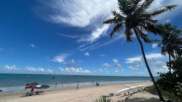Ein Strand mit blauem Himmel, Palmen und einem sandigen Ufer.
