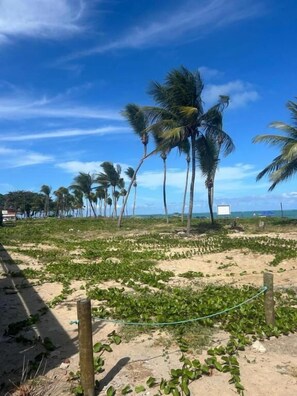 Botón de imagen sin clasificar, 4 de 11