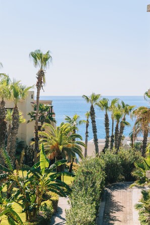 Property grounds - Stunning Arch & Ocean Views, Luxury 2BR Condo, Walk to Beach! (Cabo San Lucas)