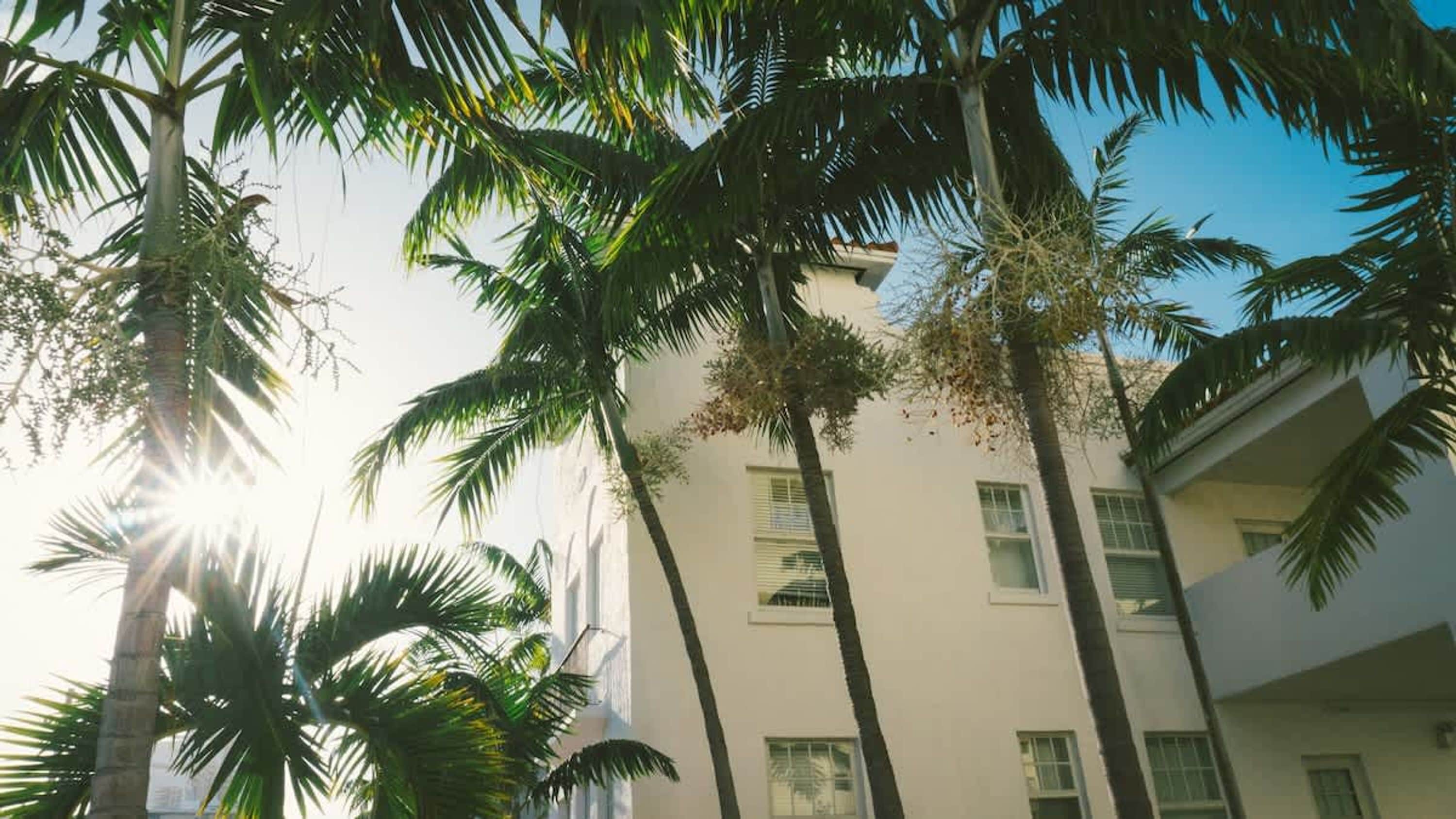 Apartamento | 4 quartos