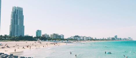 Appartement | 4 chambres