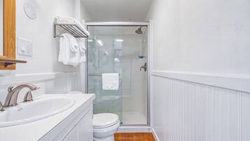 A bathroom with a white sink, a toilet, a glass shower enclosure, and a towel rack.