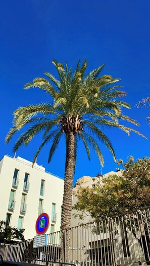 Exterior - Central Alicante Apart | Walk to the Beach (Alicante (Alacant))