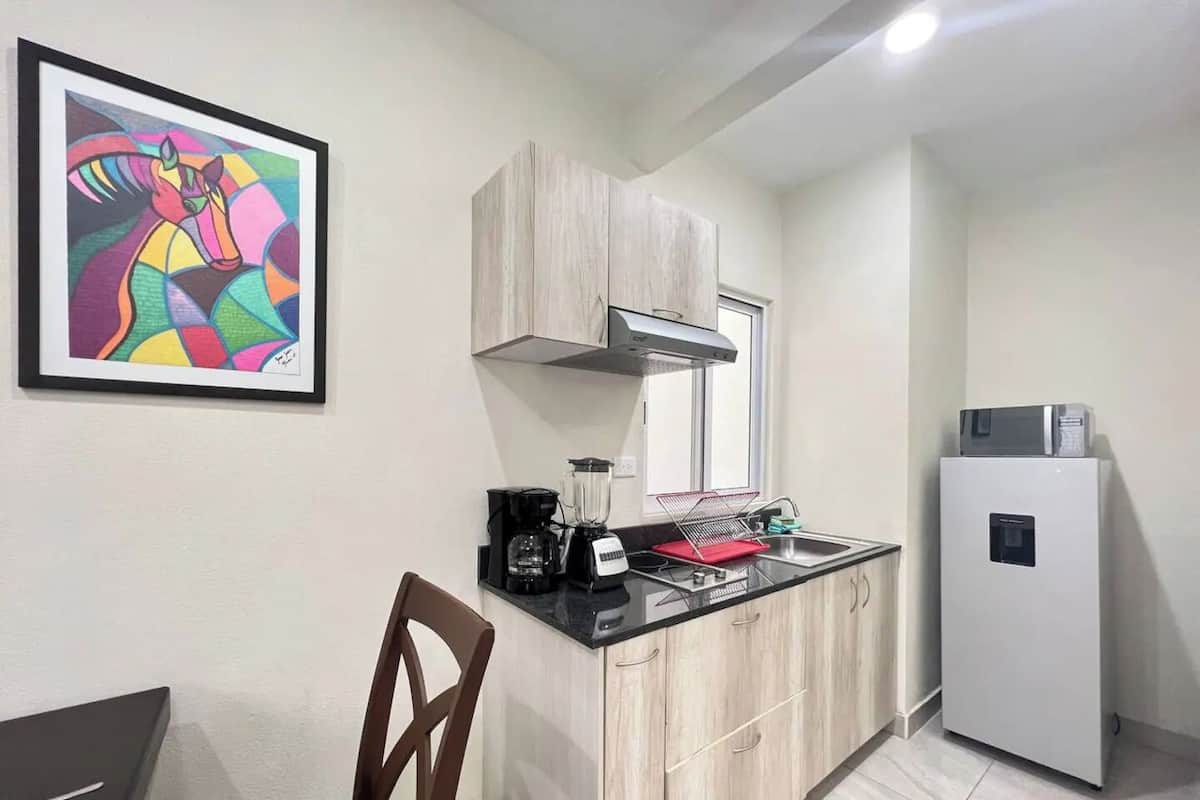 舒適開放式客房 | 私人廚房 | 大型冰箱、微波爐、爐台、鍋具/餐盤/廚房用品