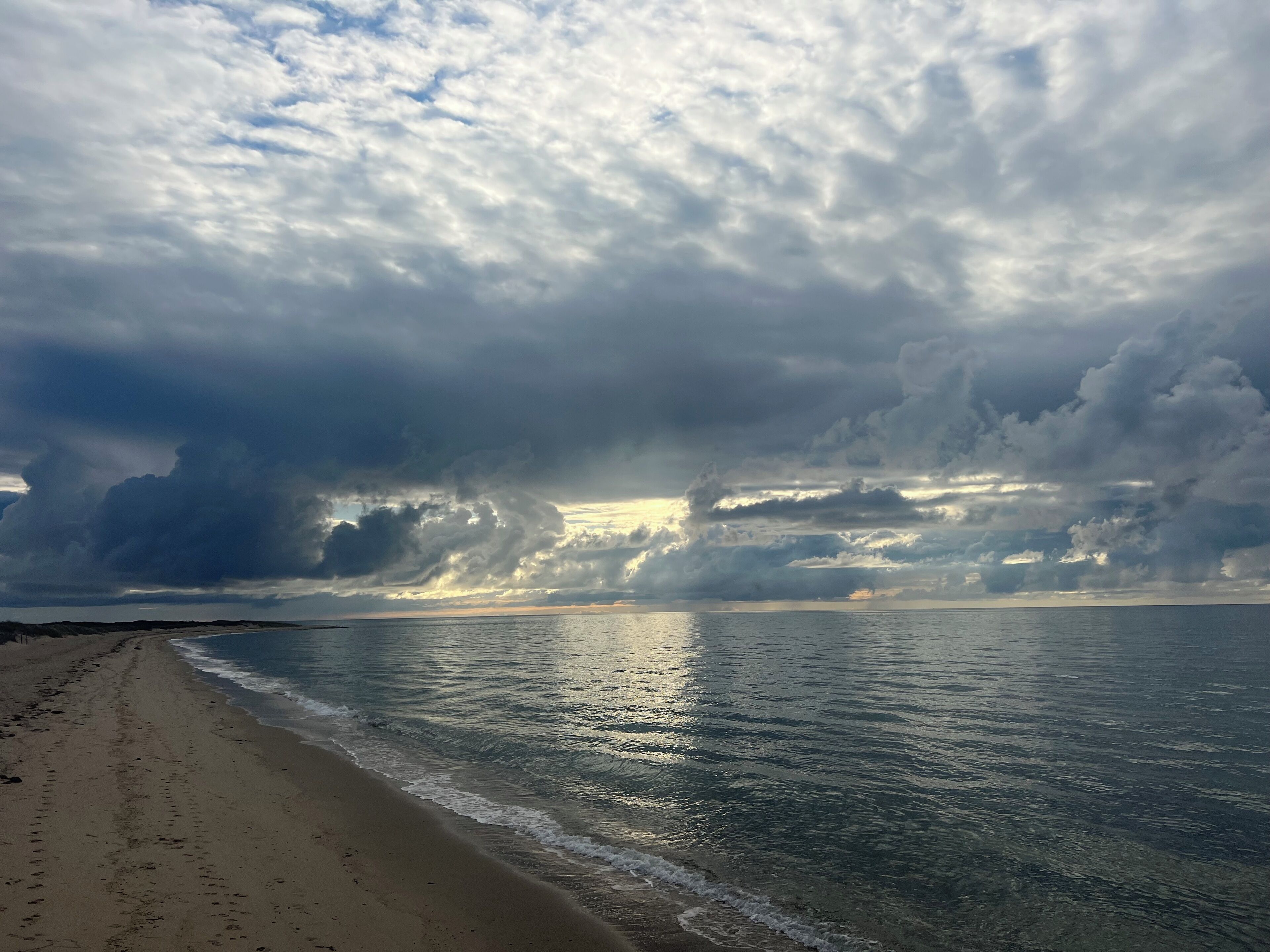 Plage à proximité, chaises longues, serviettes de plage