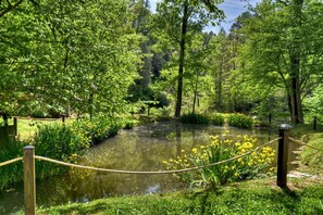 Terrain de l’hébergement 