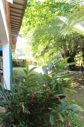 Property grounds - Caribbean Breezes n. 5 (Limón)