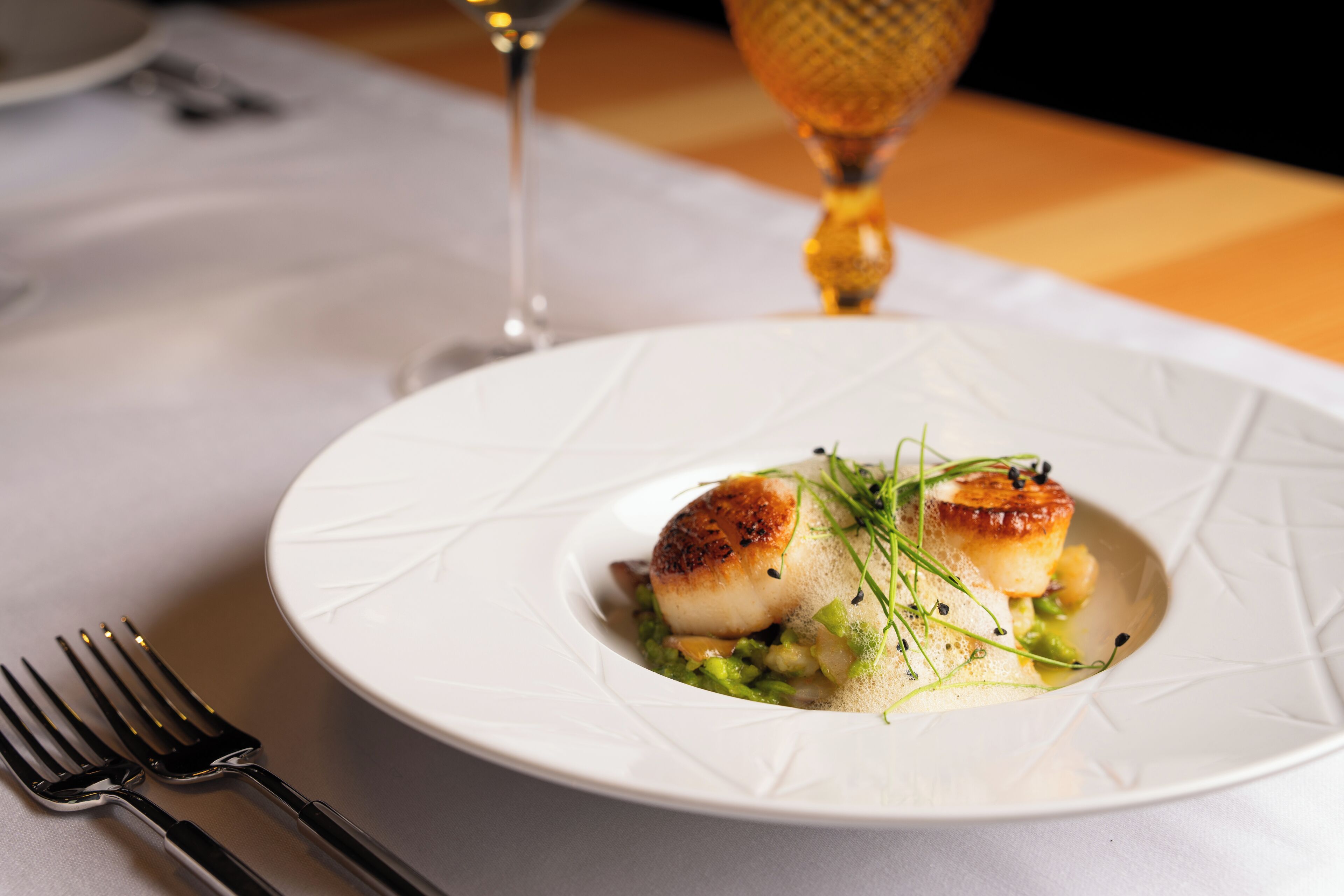 A white plate with a seared scallop and green garnish on a table.