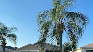 A residential area with houses, a white picket fence, and palm trees. - Pet friendly Charming Bonnybrook Villa! (The Villages)