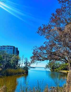 Photo non classée, 3 sur 54, bouton