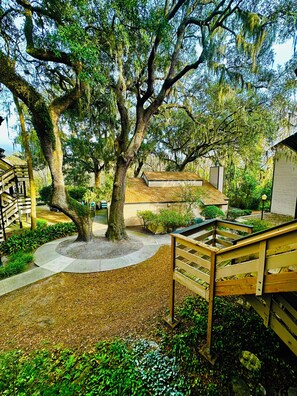 Photo non classée, 5 sur 54, bouton