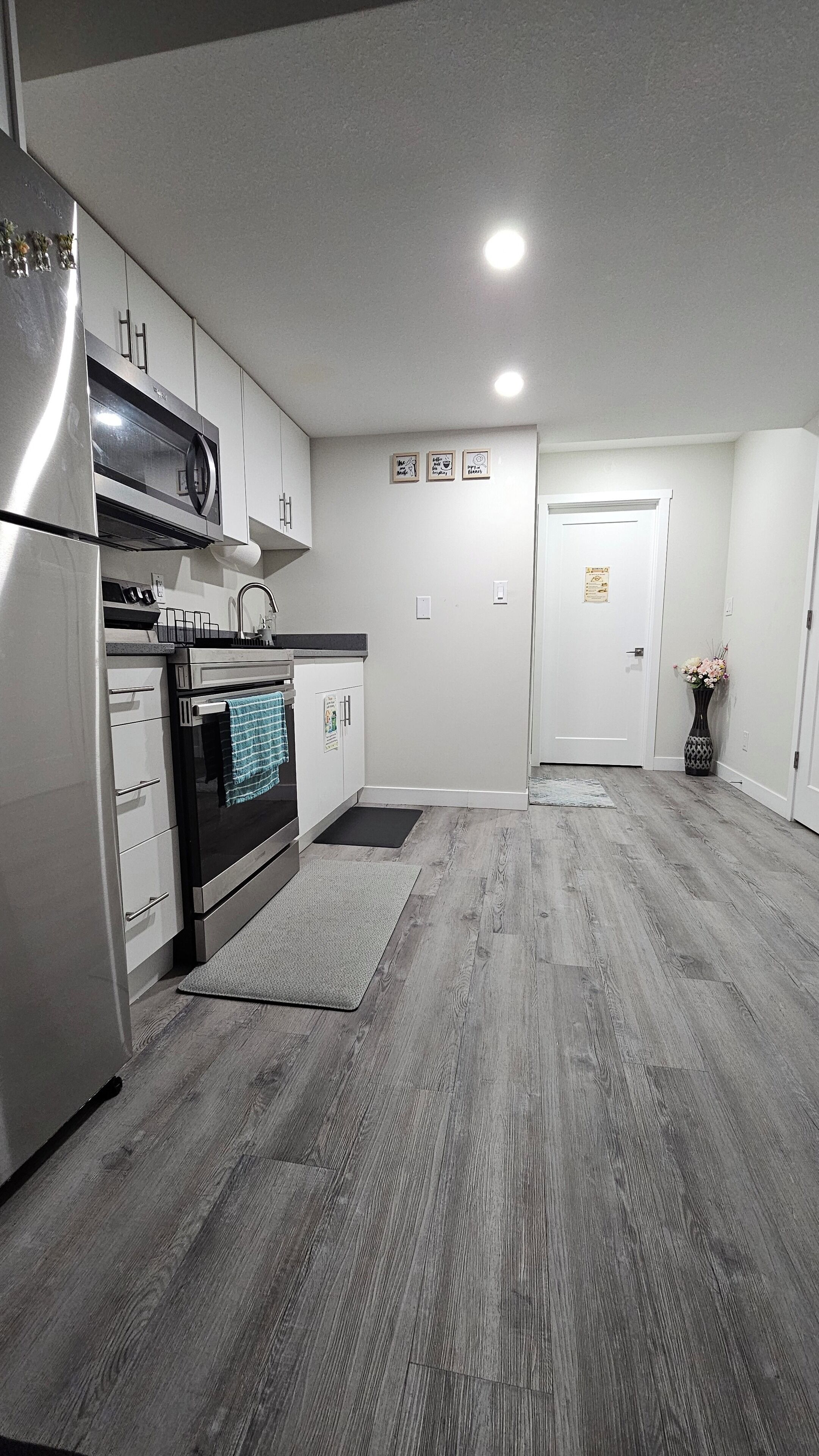 Microondas, horno y parrilla de estufa 