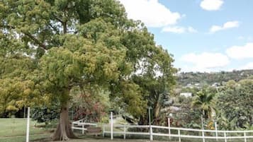 A large tree in a park with a white fence and a bench.