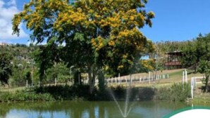 A large tree with yellow flowers by a body of water, a fountain, and a sign reading "Hacienda del Cid". - Oasis at Hacienda el Lago (Cayey)