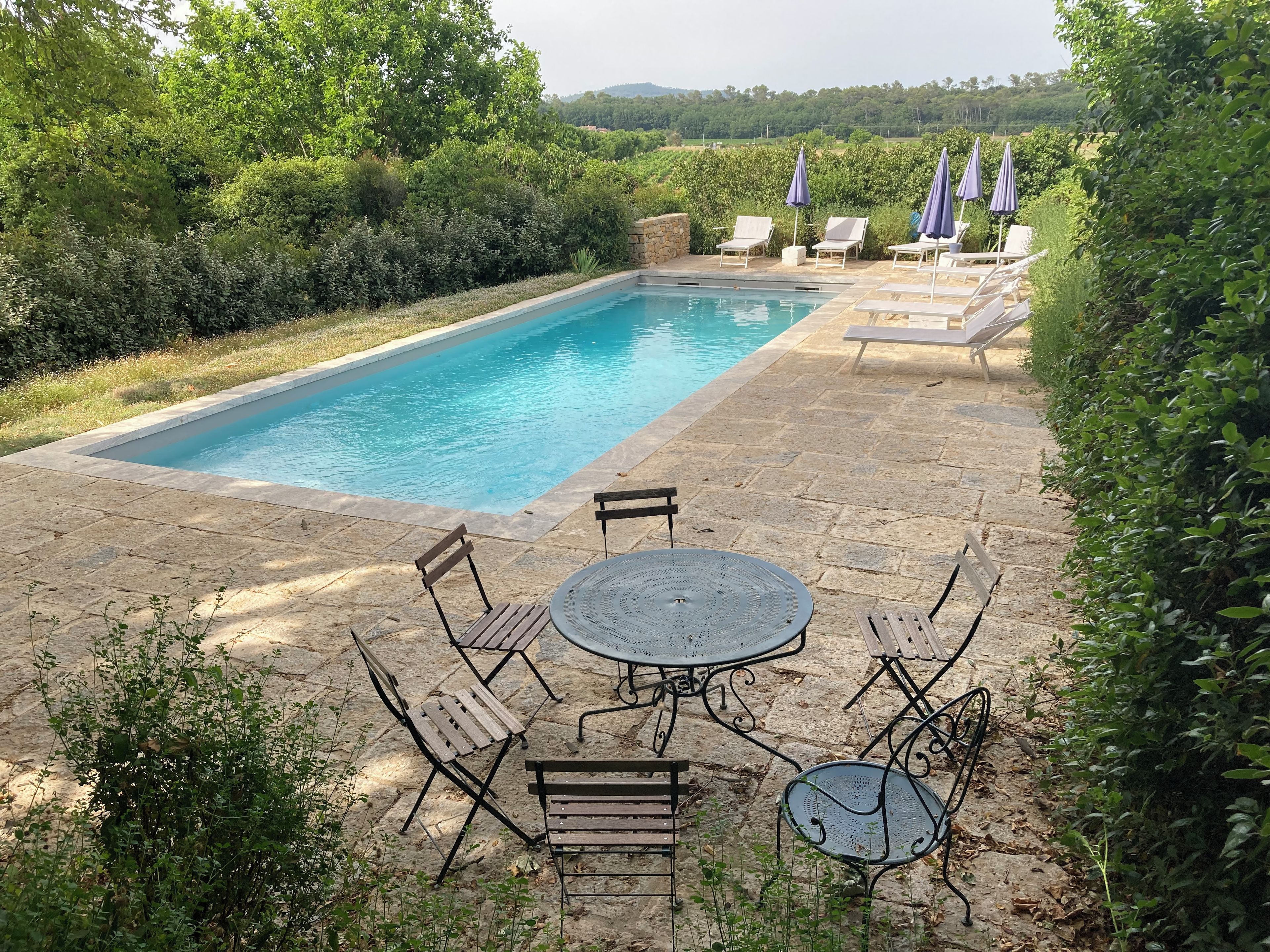 A rectangular pool with a stone deck, surrounded by lounge chairs and umbrellas, set in a lush garden.