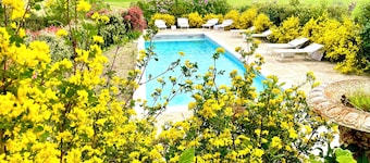 Château Trians - Exceptional estate in Provence, swimming pool & vineyard