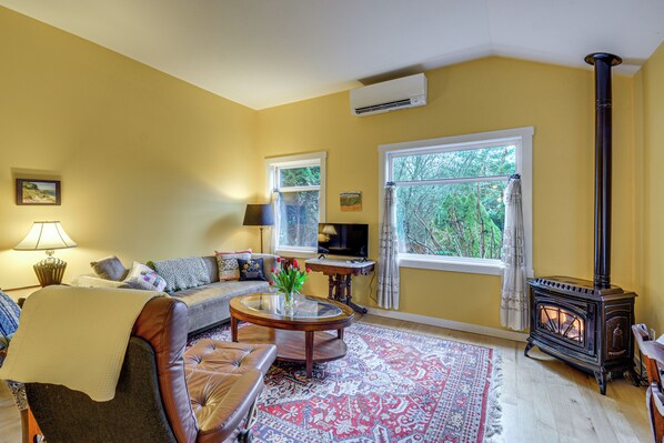 TV, fireplace, books