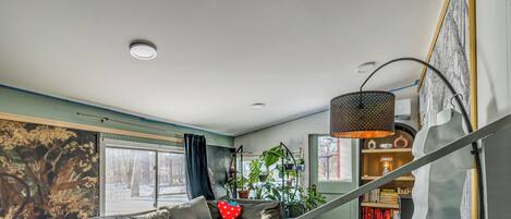 TV, fireplace, books