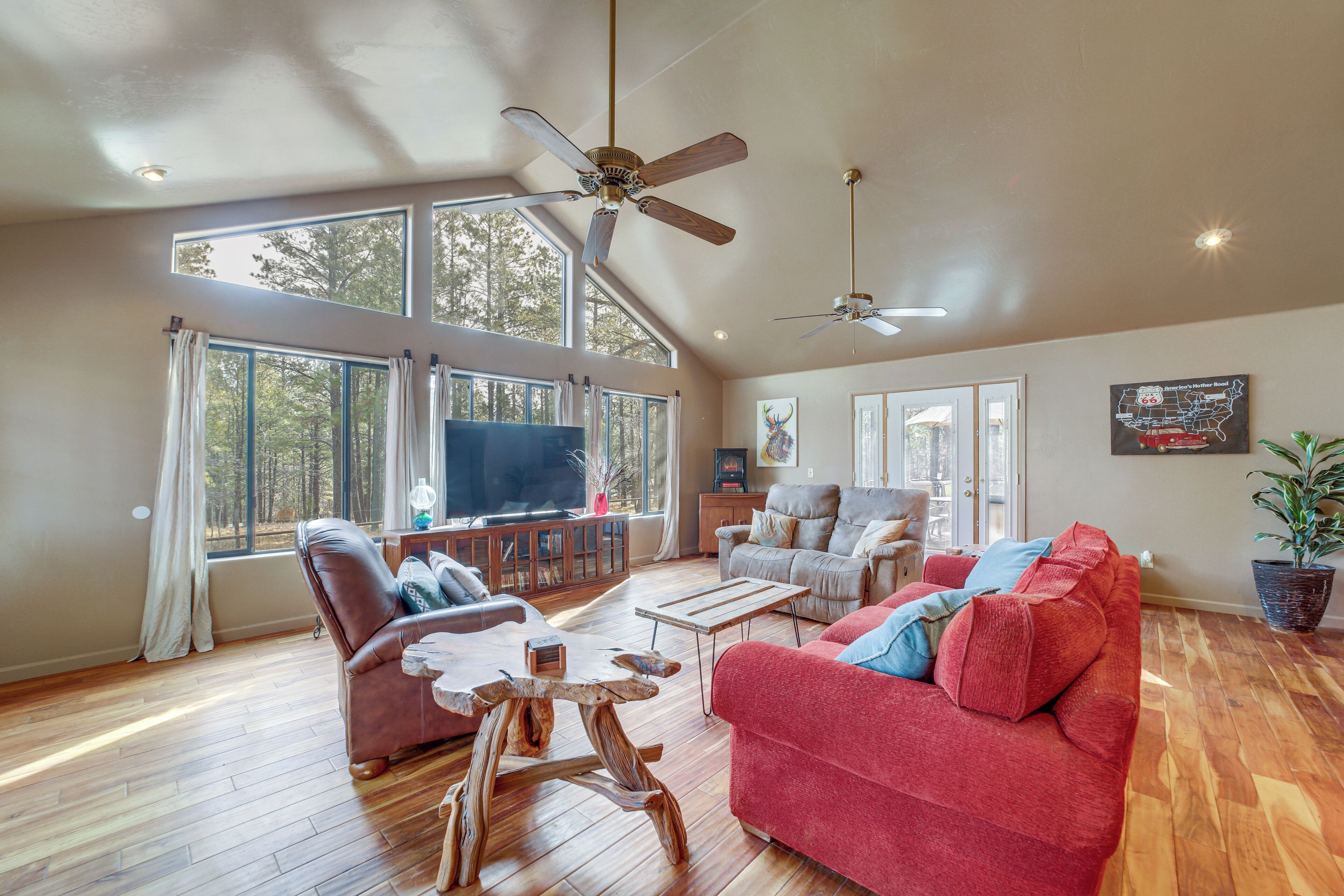TV, fireplace, books, video library