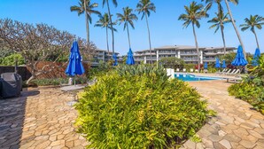 A pool area with palm trees, lounge chairs, and a stone pathway. - VERY SPECIAL  Renovated 1 Bdrm Condo - A/C - Oceanview, Athletic Club Access (Koloa)