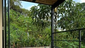 Un jacuzzi en un área exterior cubierta con una pared de piedra y exuberante vegetación al fondo.