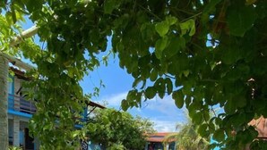 A courtyard with a swimming pool, surrounded by lush greenery and a wooden fence. - Pousada Manga Azul (Barra de Camaratuba)