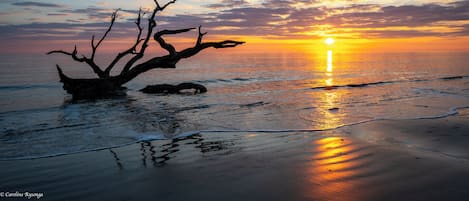 Liegestühle, Strandtücher