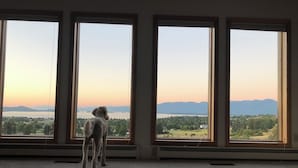 A room with three large windows, carpeted floor, and a dog standing by the windows. - Views for Days! Flathead Lake Retreat 1 mile to Downtown (Polson)