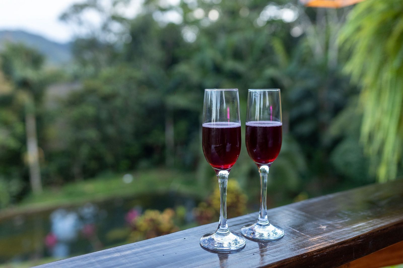 Two glasses of red wine on a wooden railing with a blurred natural background.