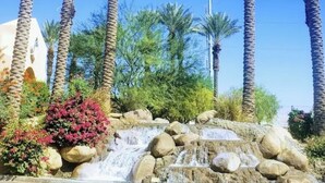 Zona enjardinada amb palmeres i una petita cascada.