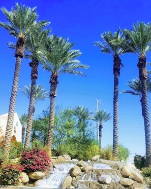 Property grounds - Westin Resort Villas 2 Premium Lock-Off Suites - Available March 13-15 (Rancho Mirage)