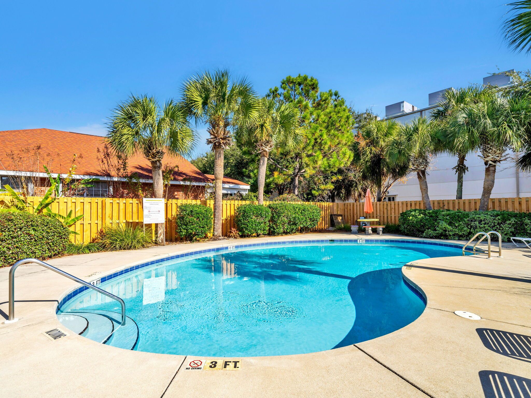 A swimming pool with a 3 FT no diving sign, surrounded by palm trees and a wooden fence.