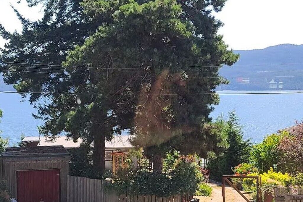 A view of a lake with a large tree in the foreground and a wooden fence.
